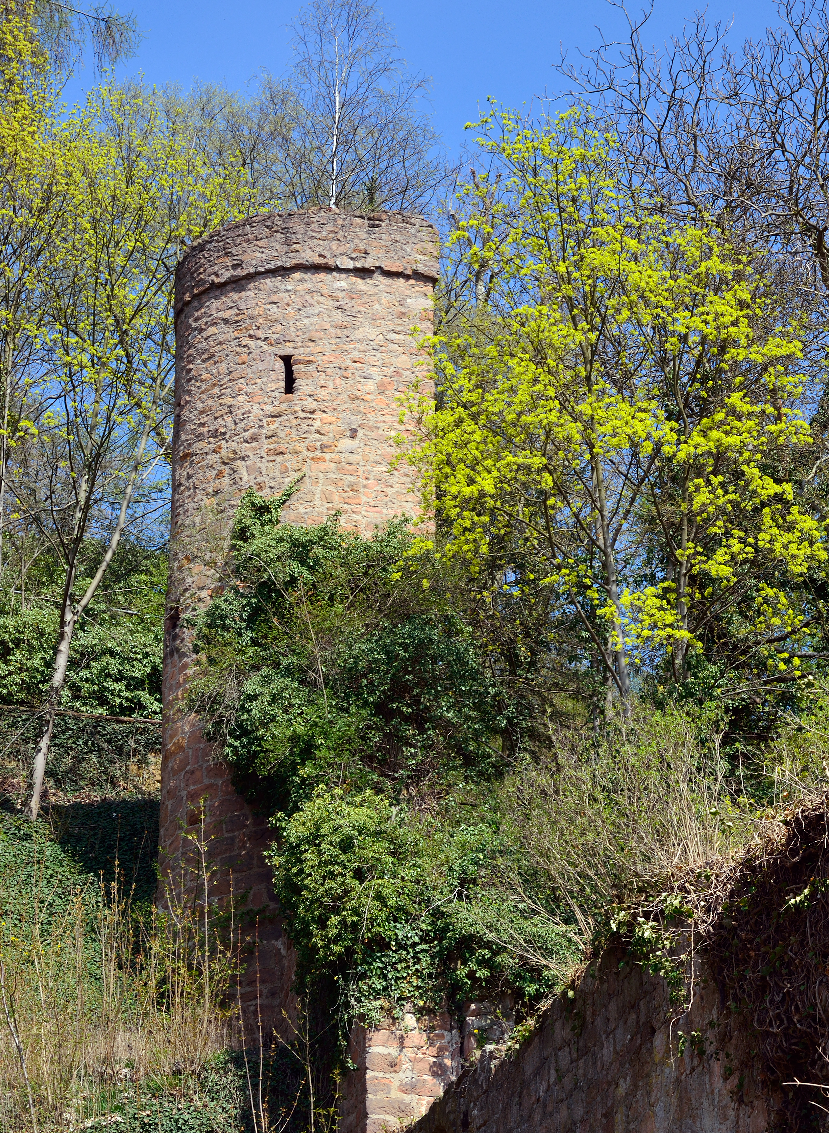 Bild Bettina Turm Marburg