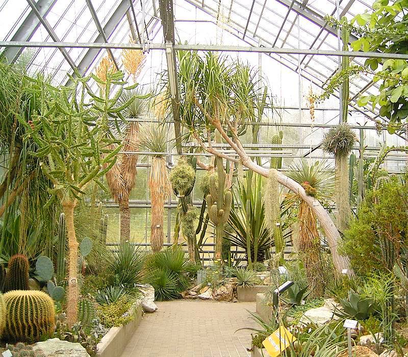 Bild Botanischer Garten Bochum