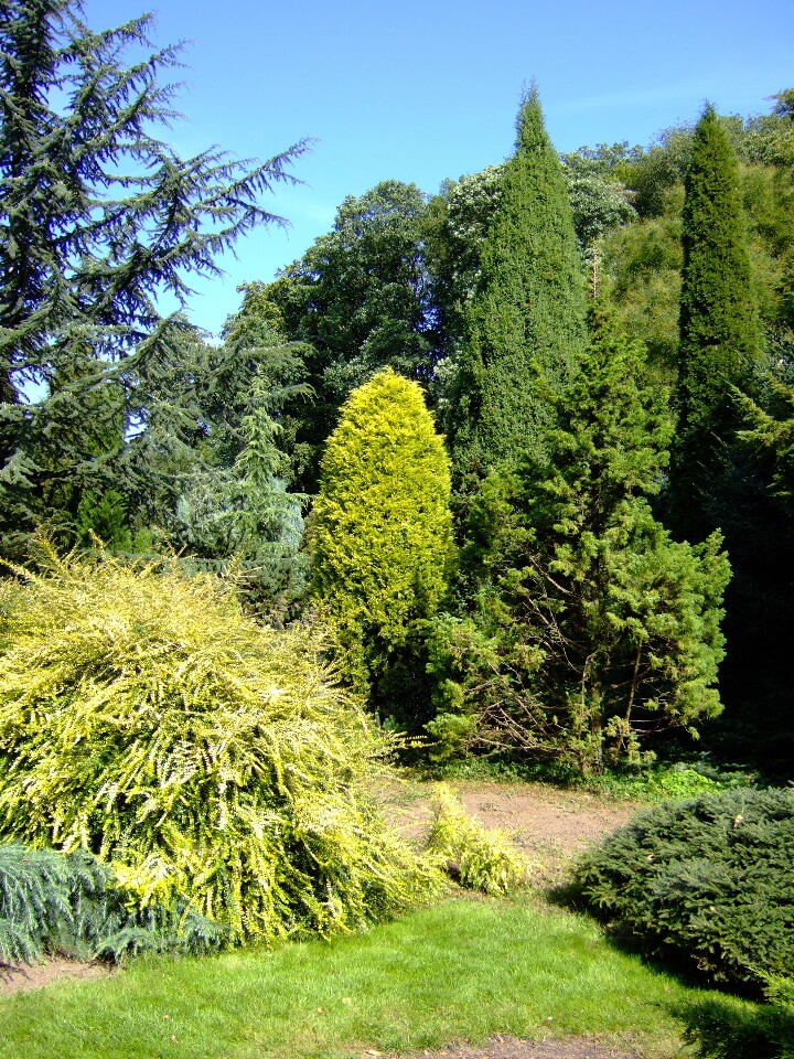 Bild Arboretum Park Härle Bonn