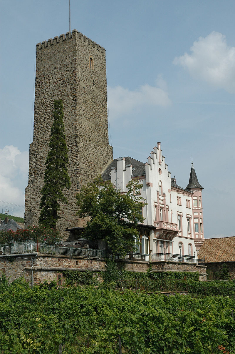 Bild Boosenburg Rüdesheim