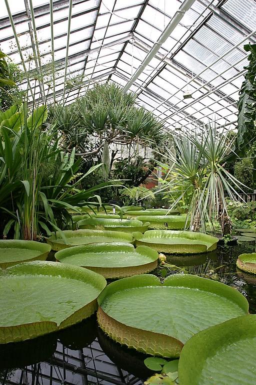 Bild Botanischer Garten Jena