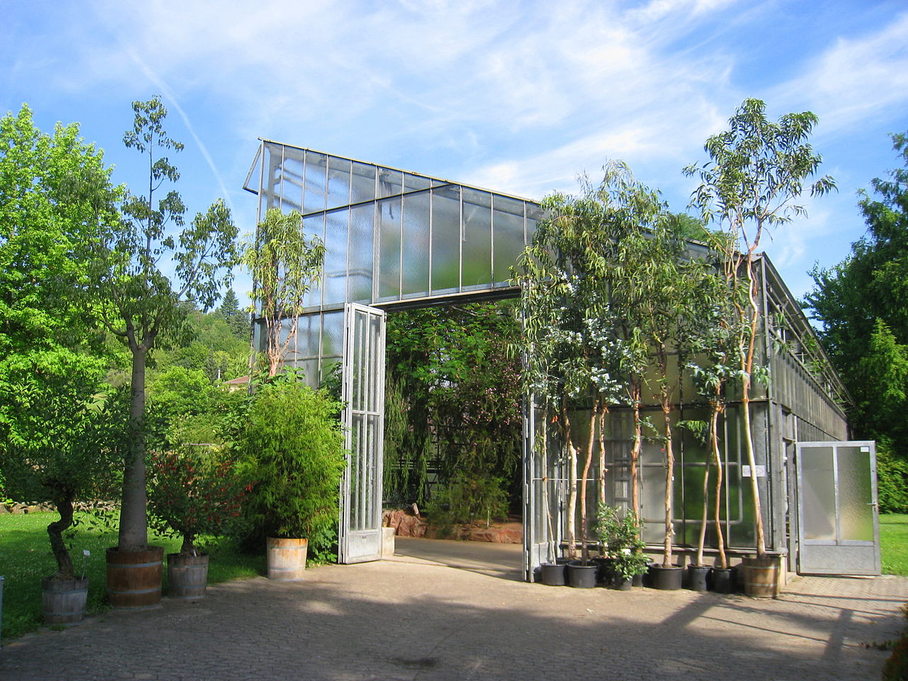 Bild Botanischer Garten Würzburg