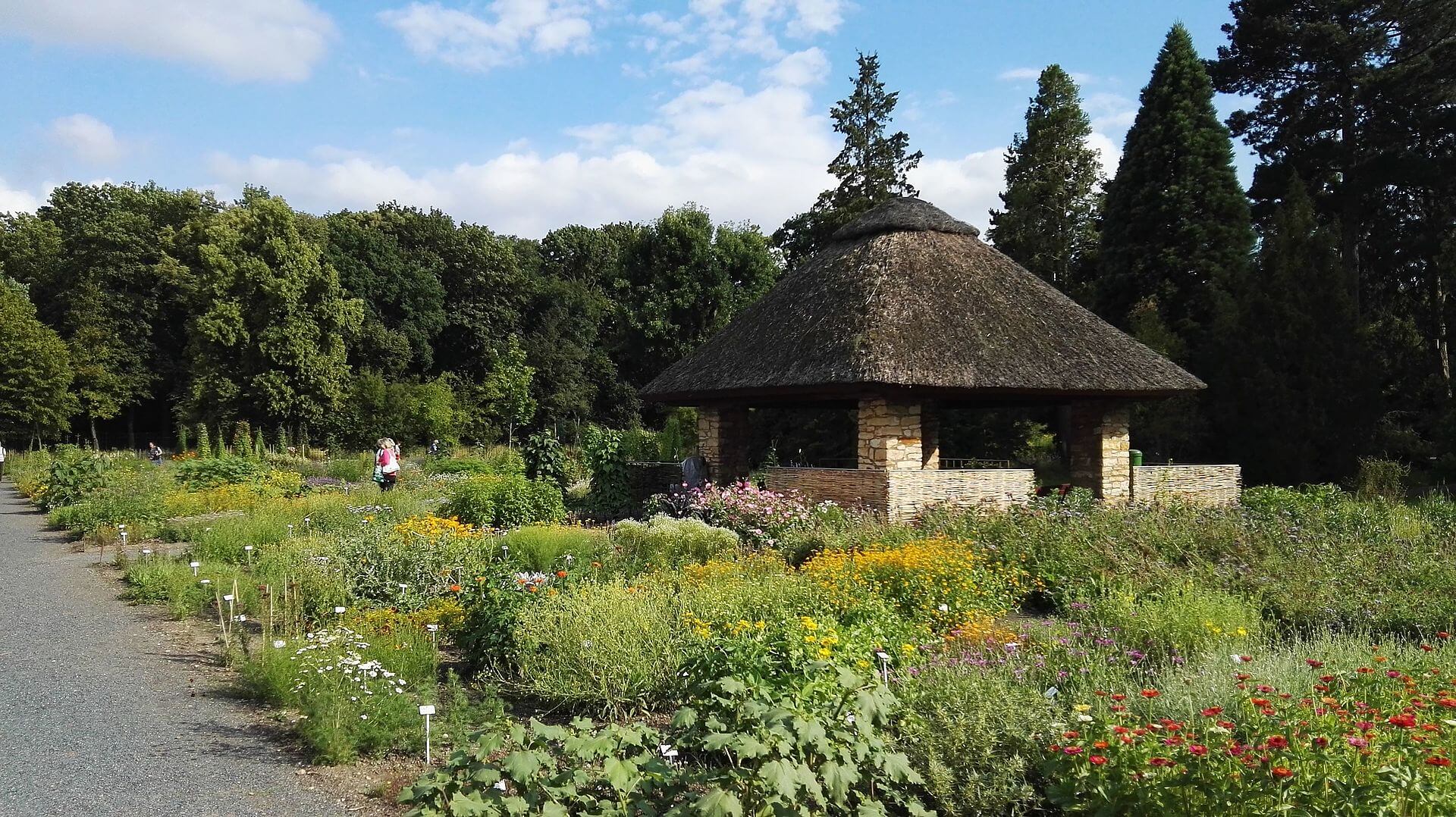 Bild Botanischer Garten Dresden