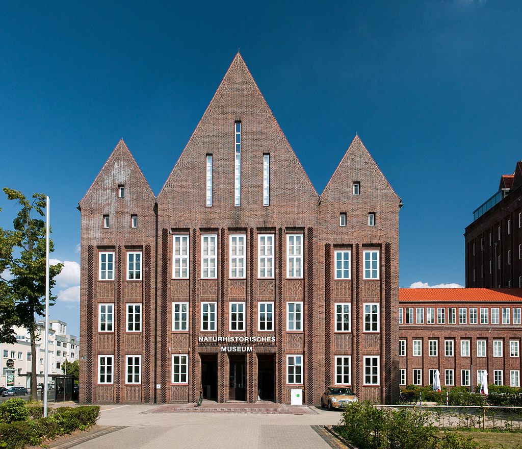 Bild Naturhistorisches Museum Braunschweig