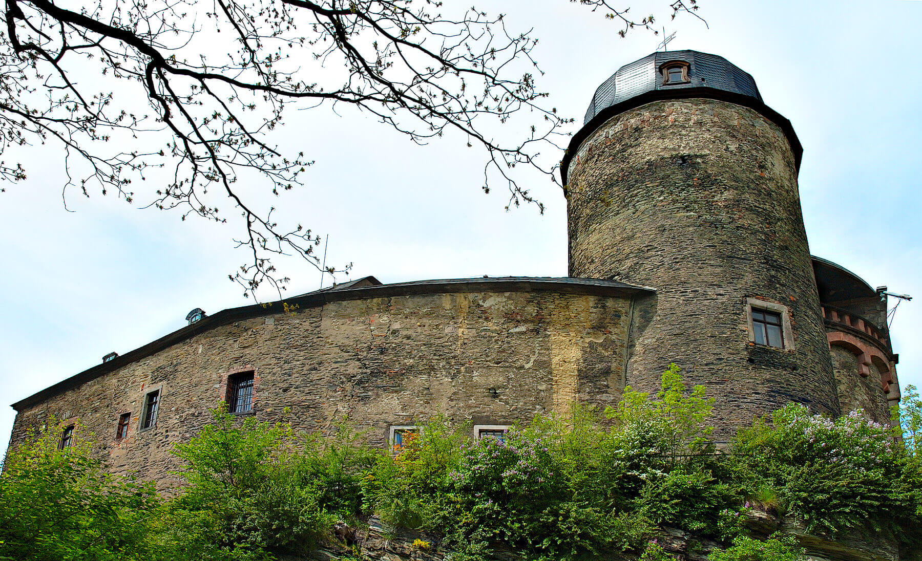 Bild Kaiserburg Mylau