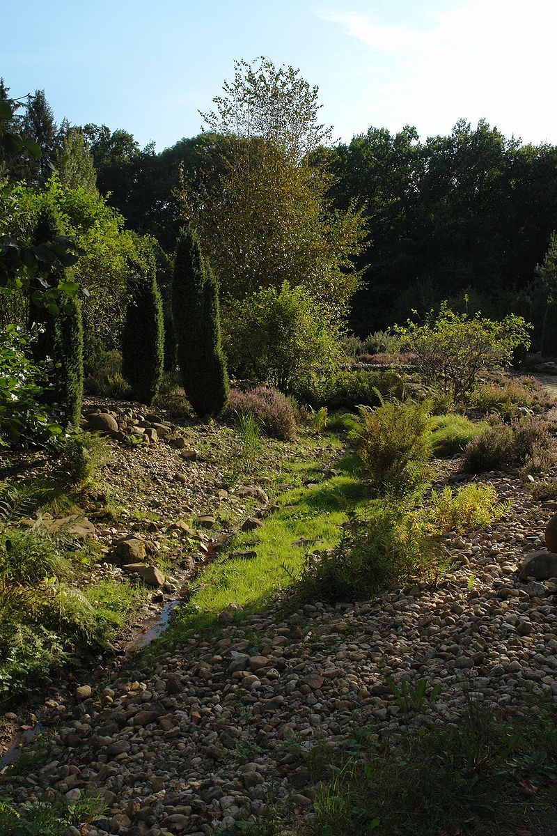 Bild Botanischer Garten Chemnitz