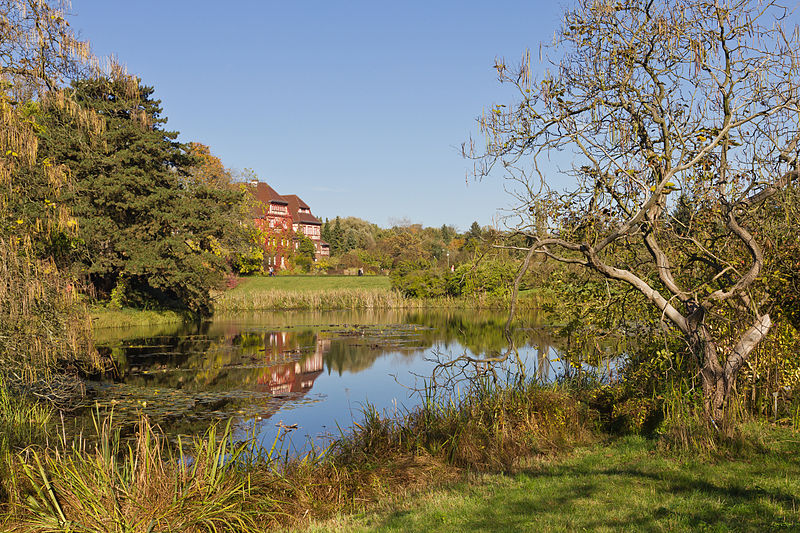 Bild Botanischer Garten Berlin Dahlem