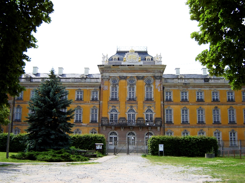 Bild Schloss Dornburg an der Elbe