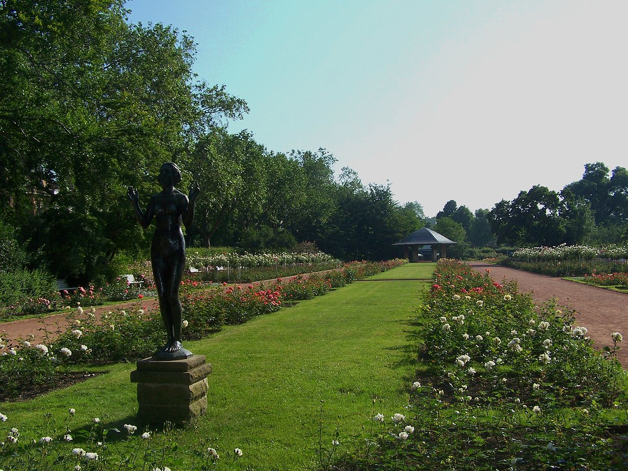 Bild Rosengarten Dresden