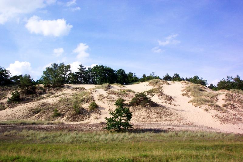 Bild Naturpark Mecklenburgisches Elbetal