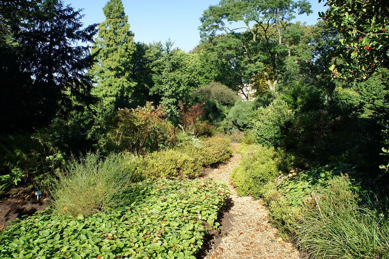 Bild Botanischer Garten Duissern Duisburg