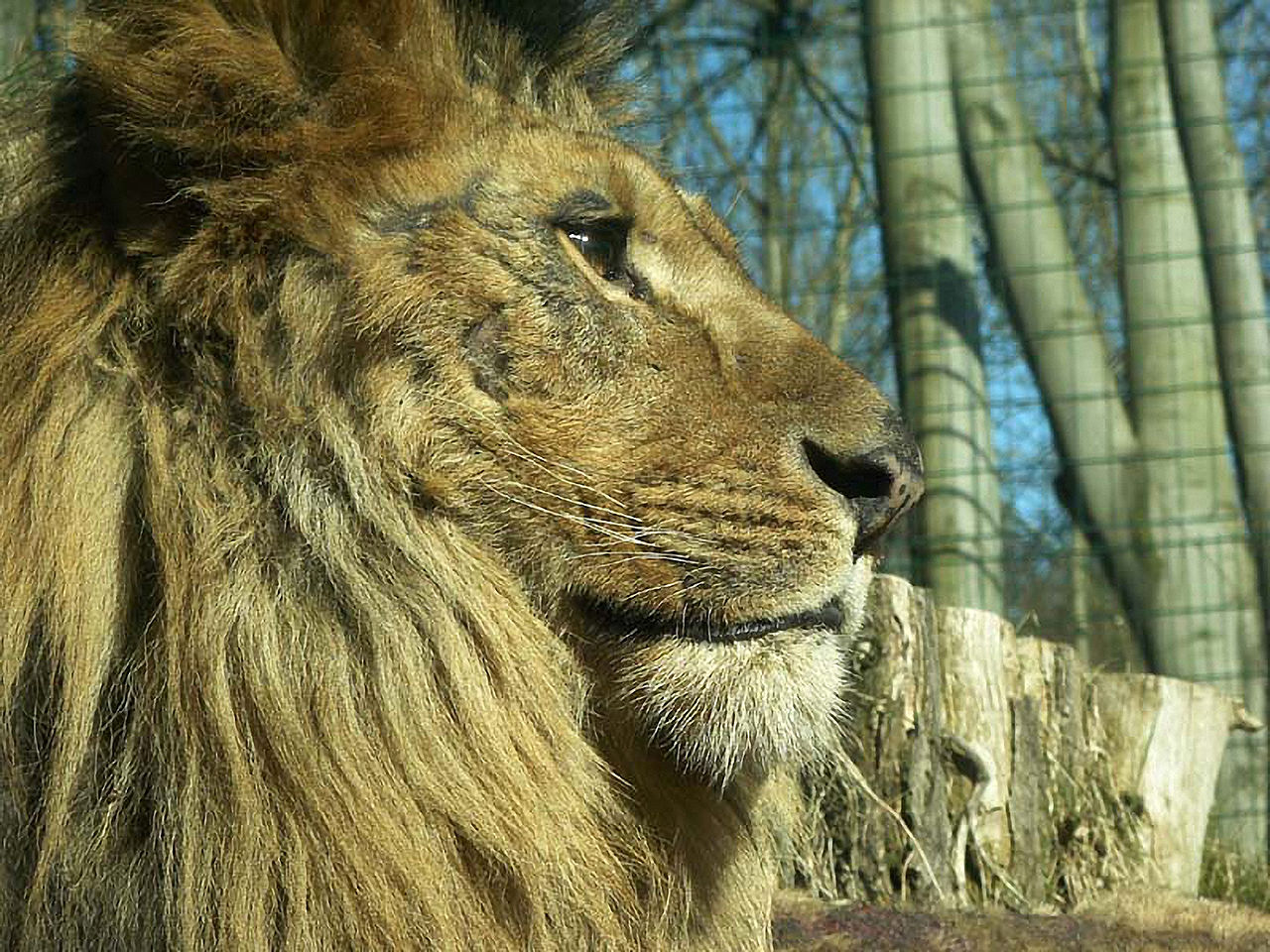 Bild Zoologischer Garten Eberswalde