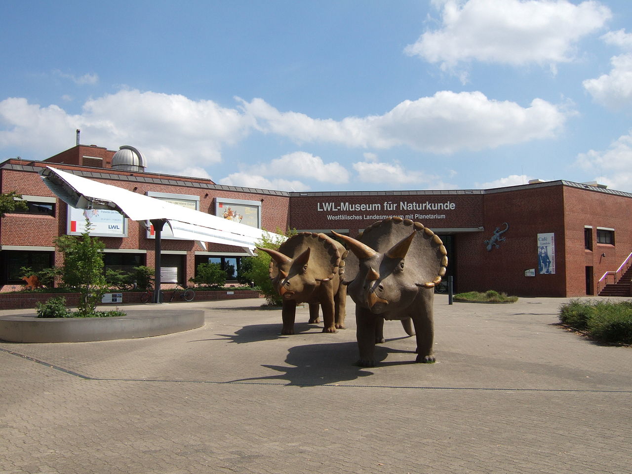 Bild LWL Museum für Naturkunde Münster