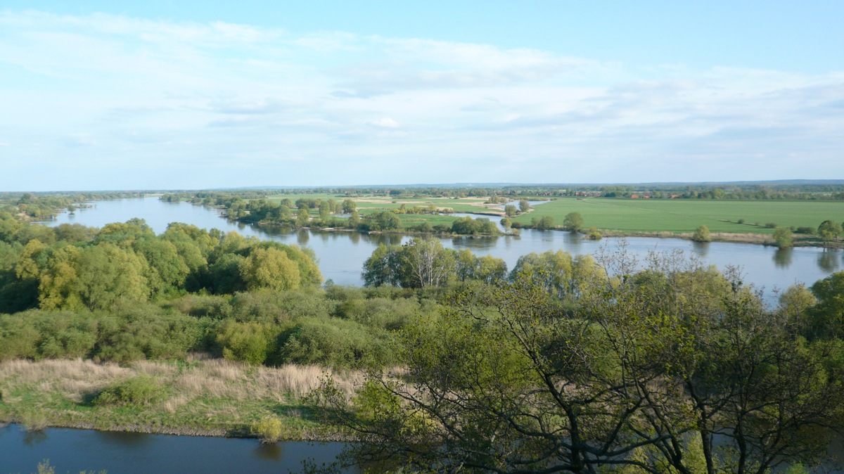 Bild Biosphärenreservat Flusslandschaft Elbe Mecklenburg Vorpommern