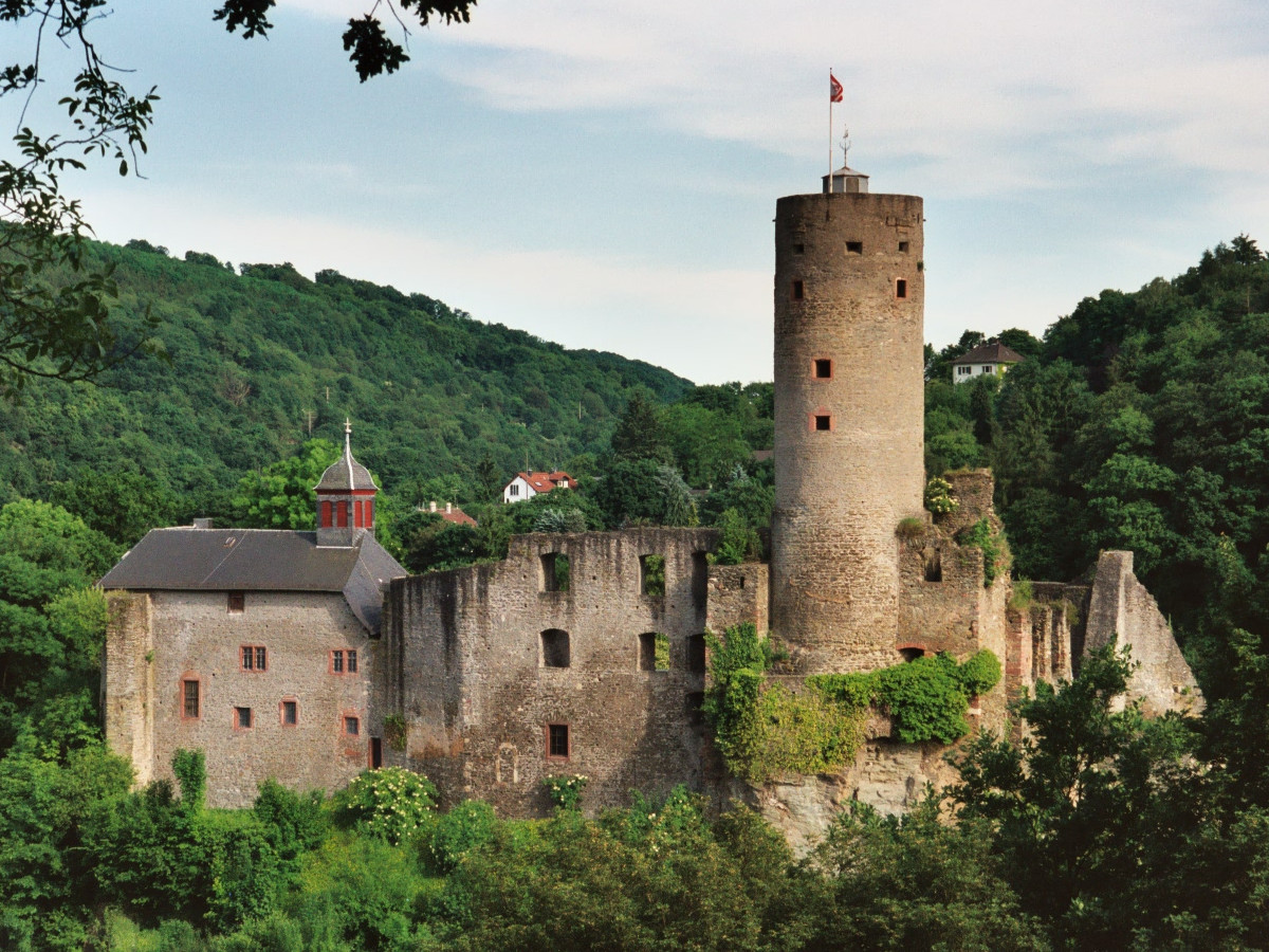 Bild Burg Eppstein