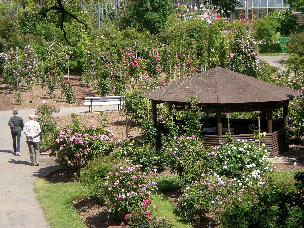 Bild Europa Rosarium Sangerhausen