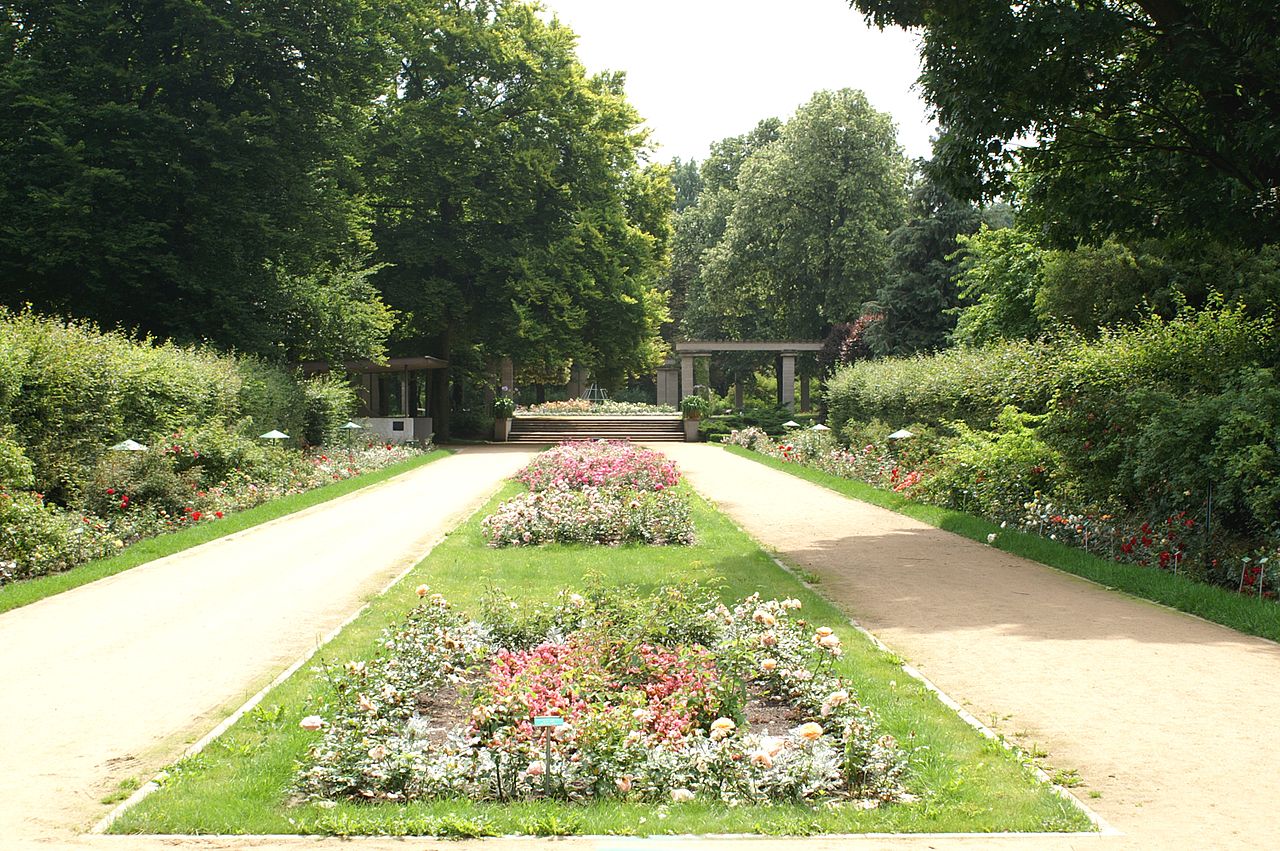 Bild Ostdeutscher Rosengarten Forst