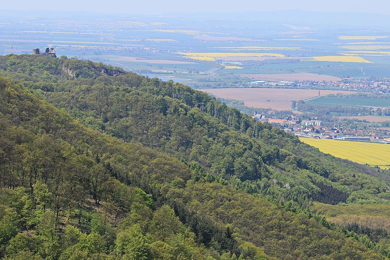 Bild Naturpark Kyffhäuser