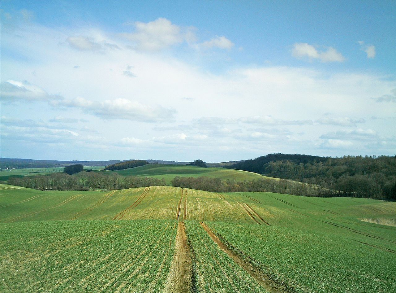 Bild Naturpark Am Stettiner Haff