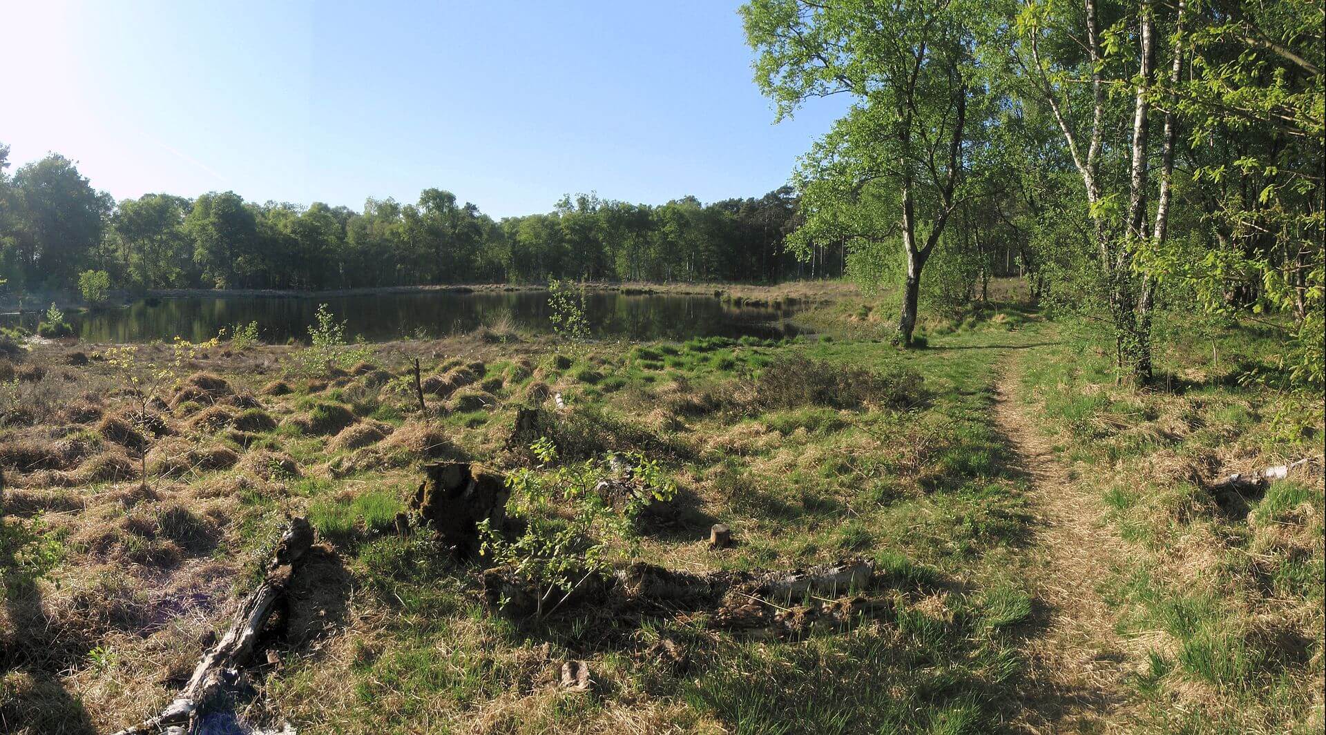 Bild Torfmuseum Gescher Hochmoor