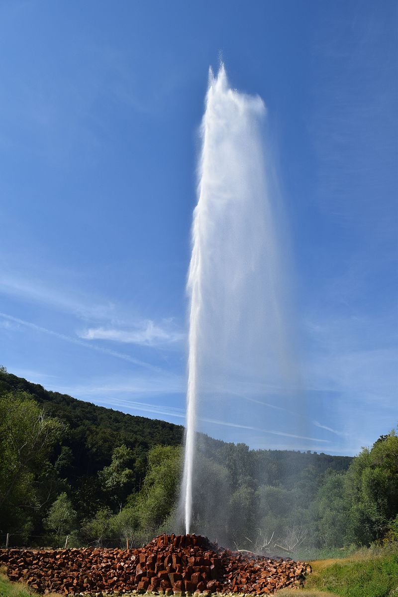 Bild Geysir Andernach