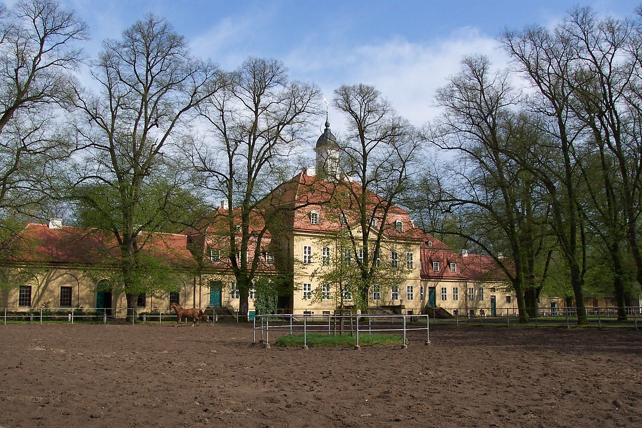 Bild Brandenburgisches Haupt und Landgestüt Neustadt Dosse