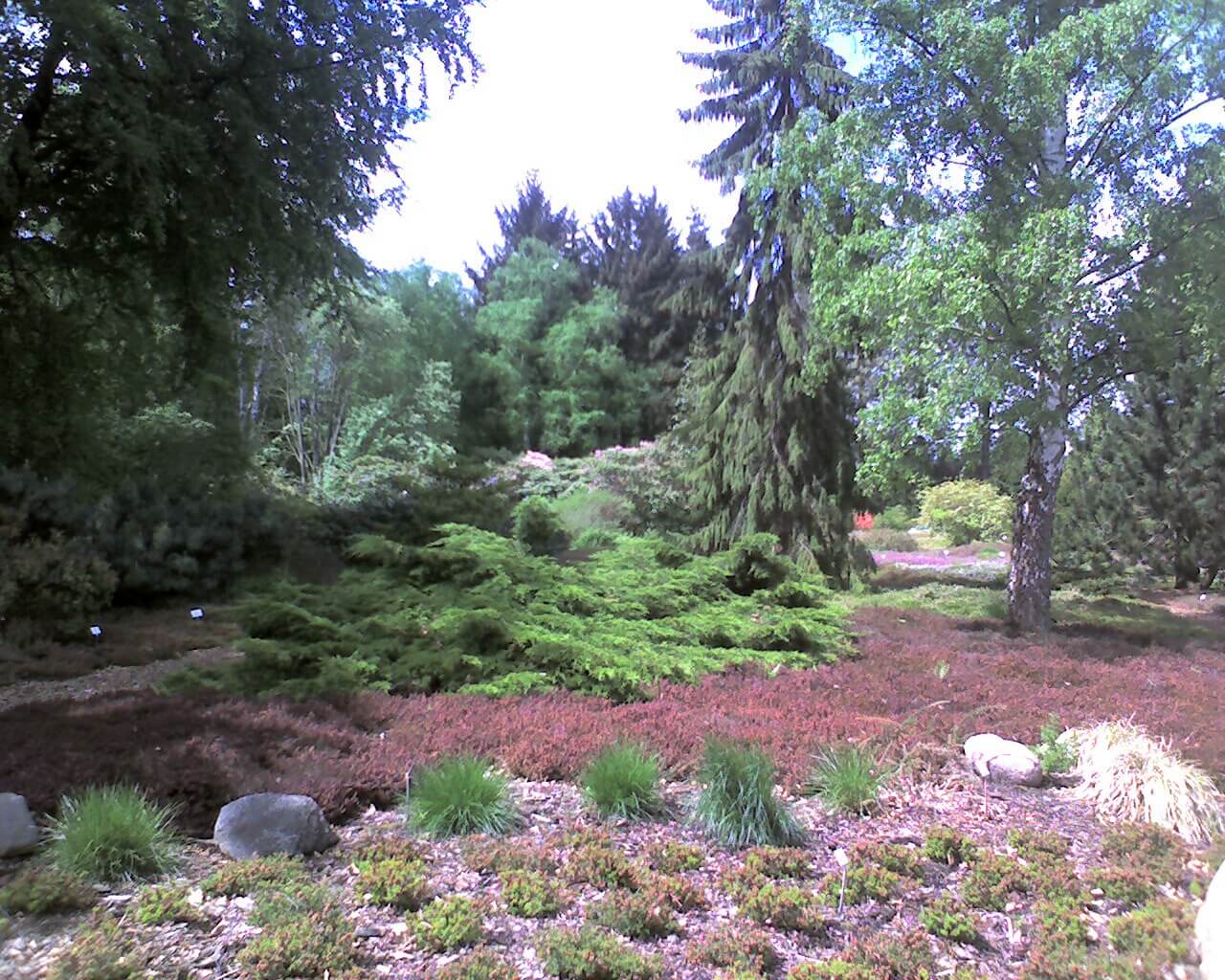 Bild Botanischer Garten Greifswald