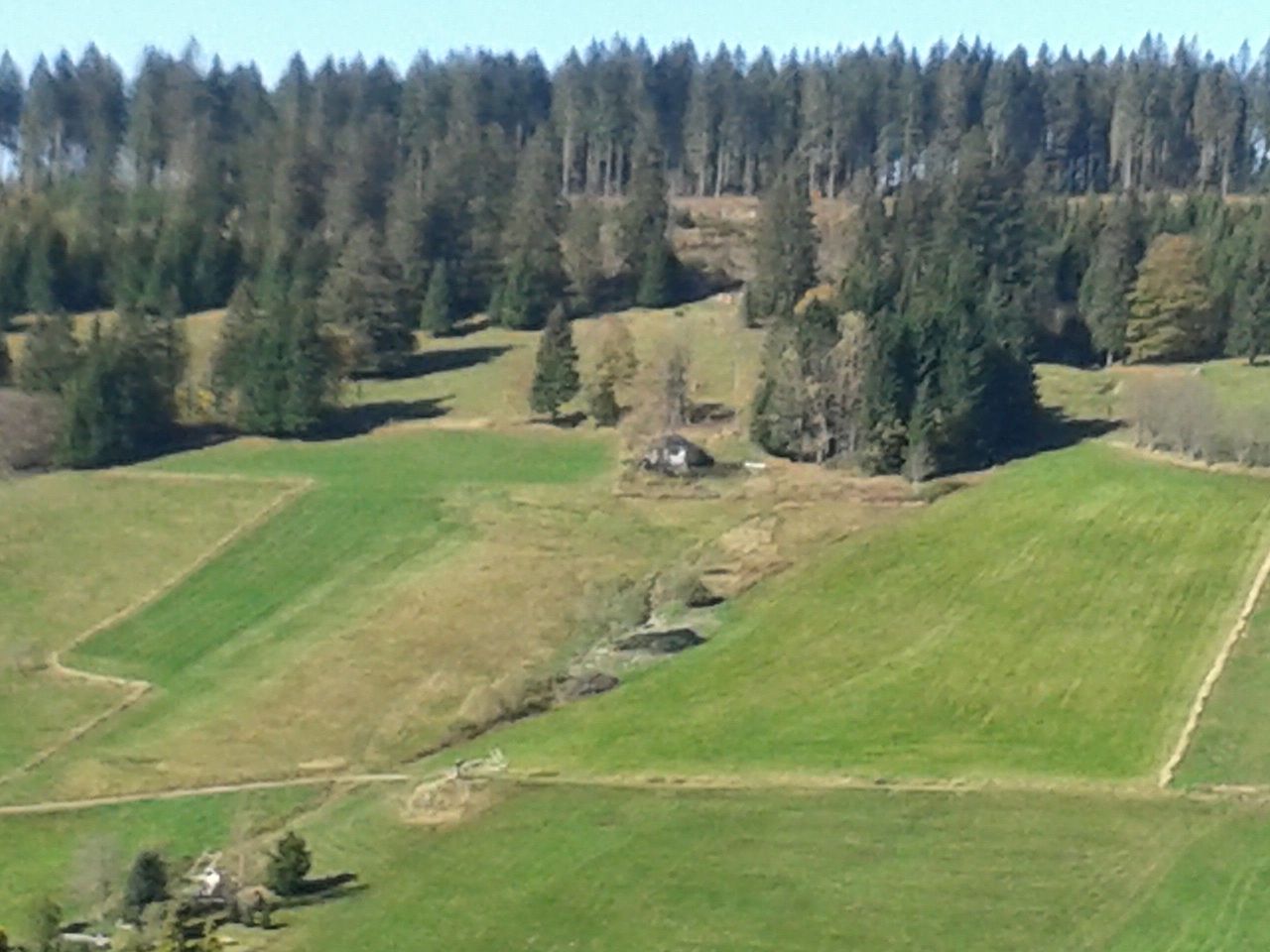 Bild Schneiderhof Todtnauberg