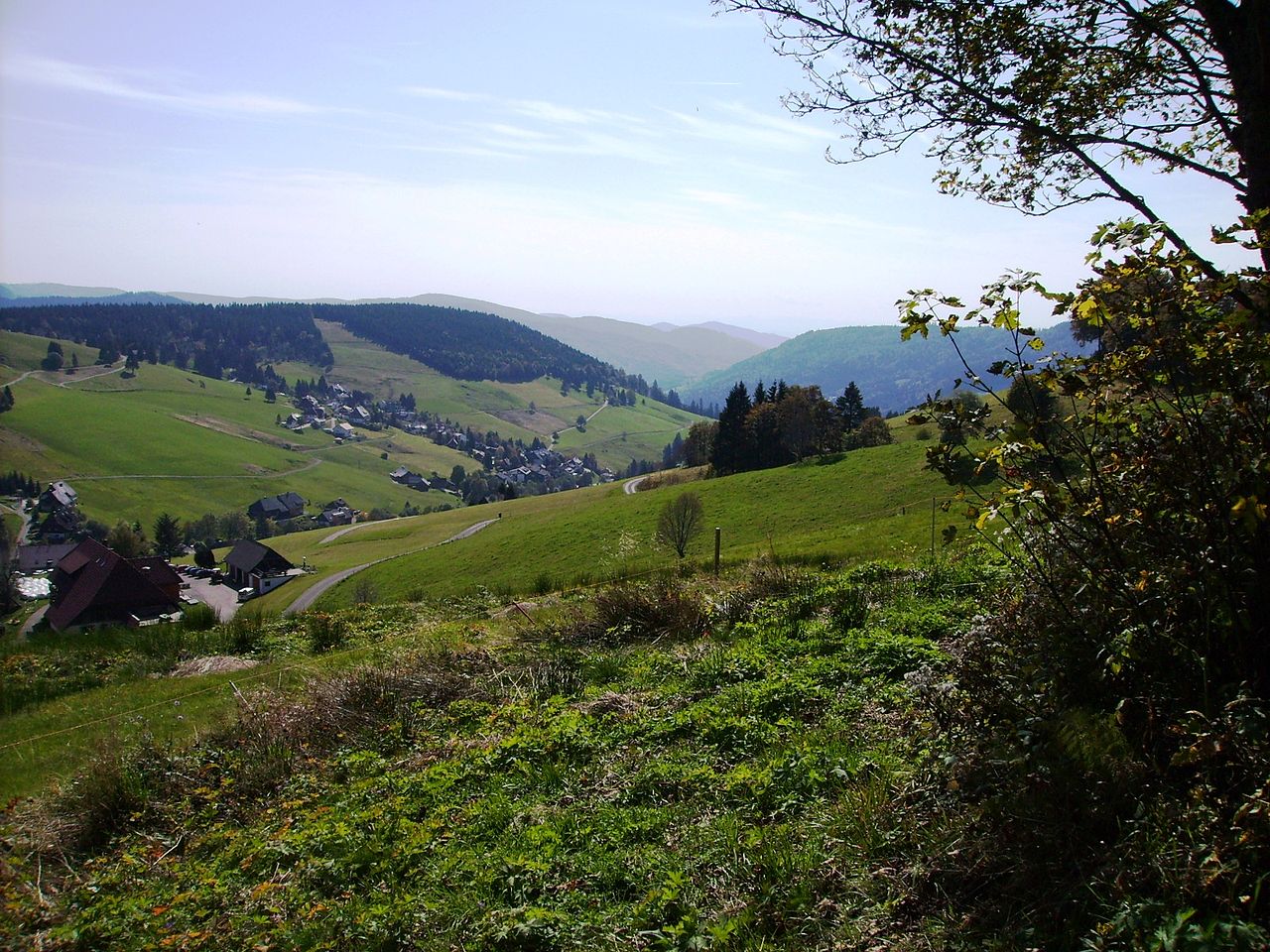 Bild Martin Heidegger Rundweg Todtnauberg