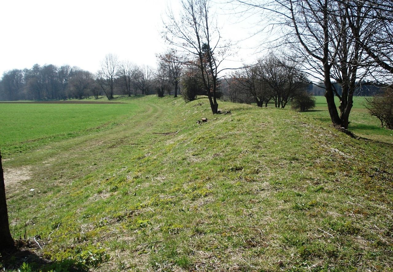 Bild Keltenmuseum Heidengraben