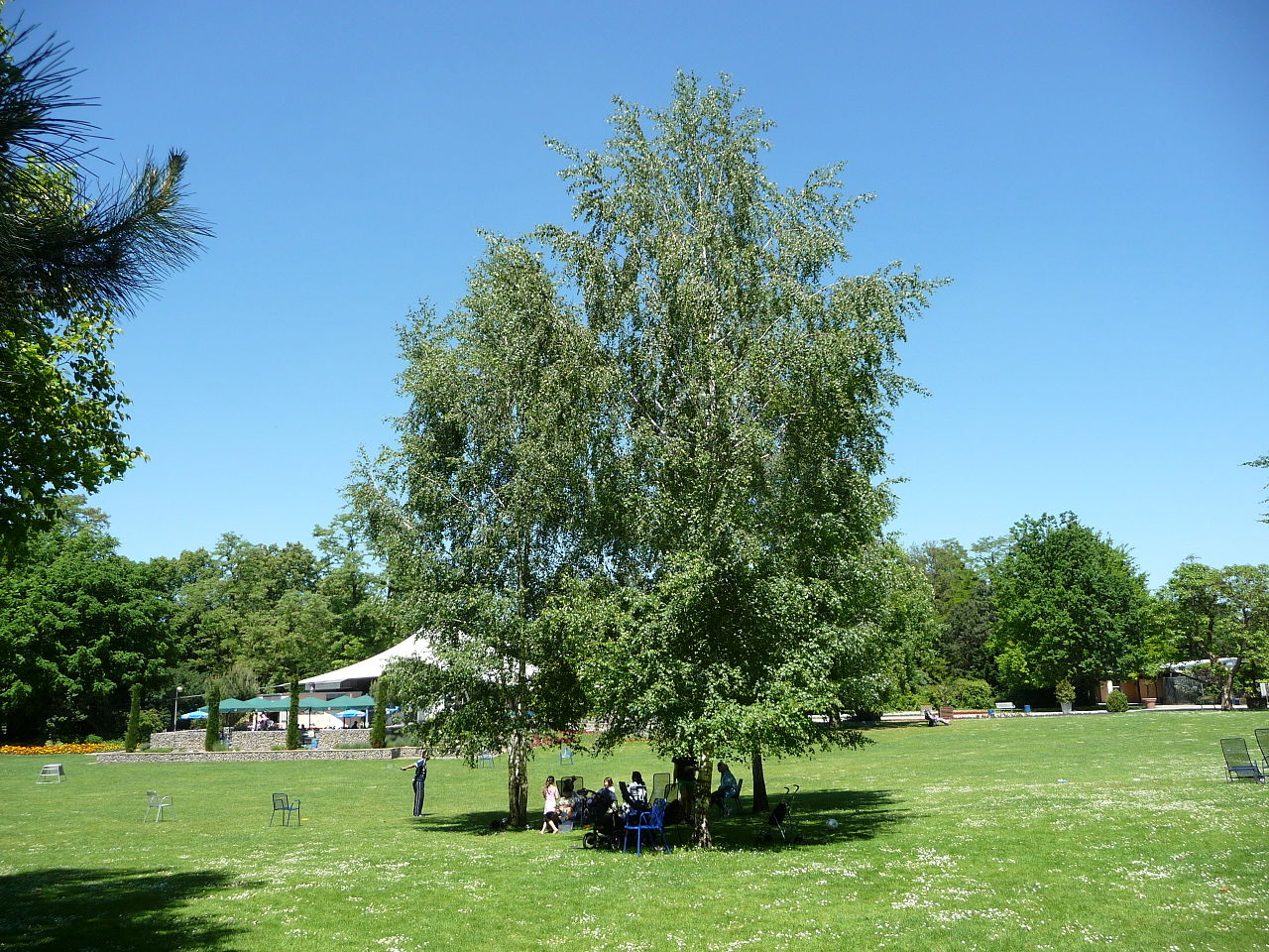 Bild Herzogenriedpark Mannheim