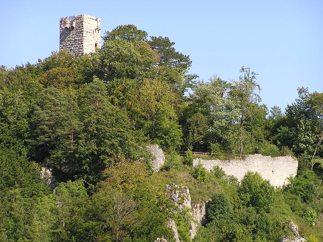 Bild Burg Hohenschelklingen Schelklingen