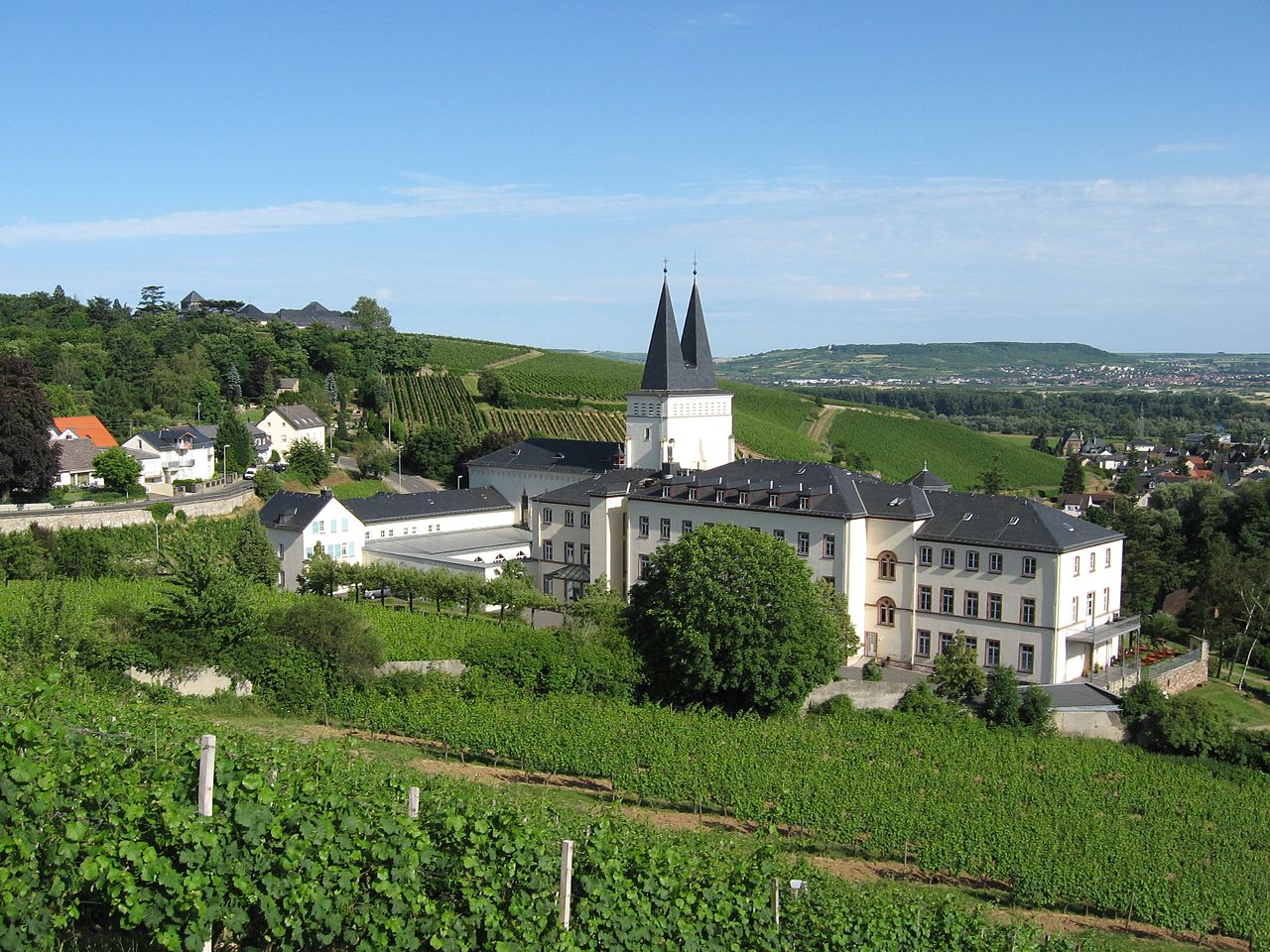 Bild Kloster Johannisberg Geisenheim
