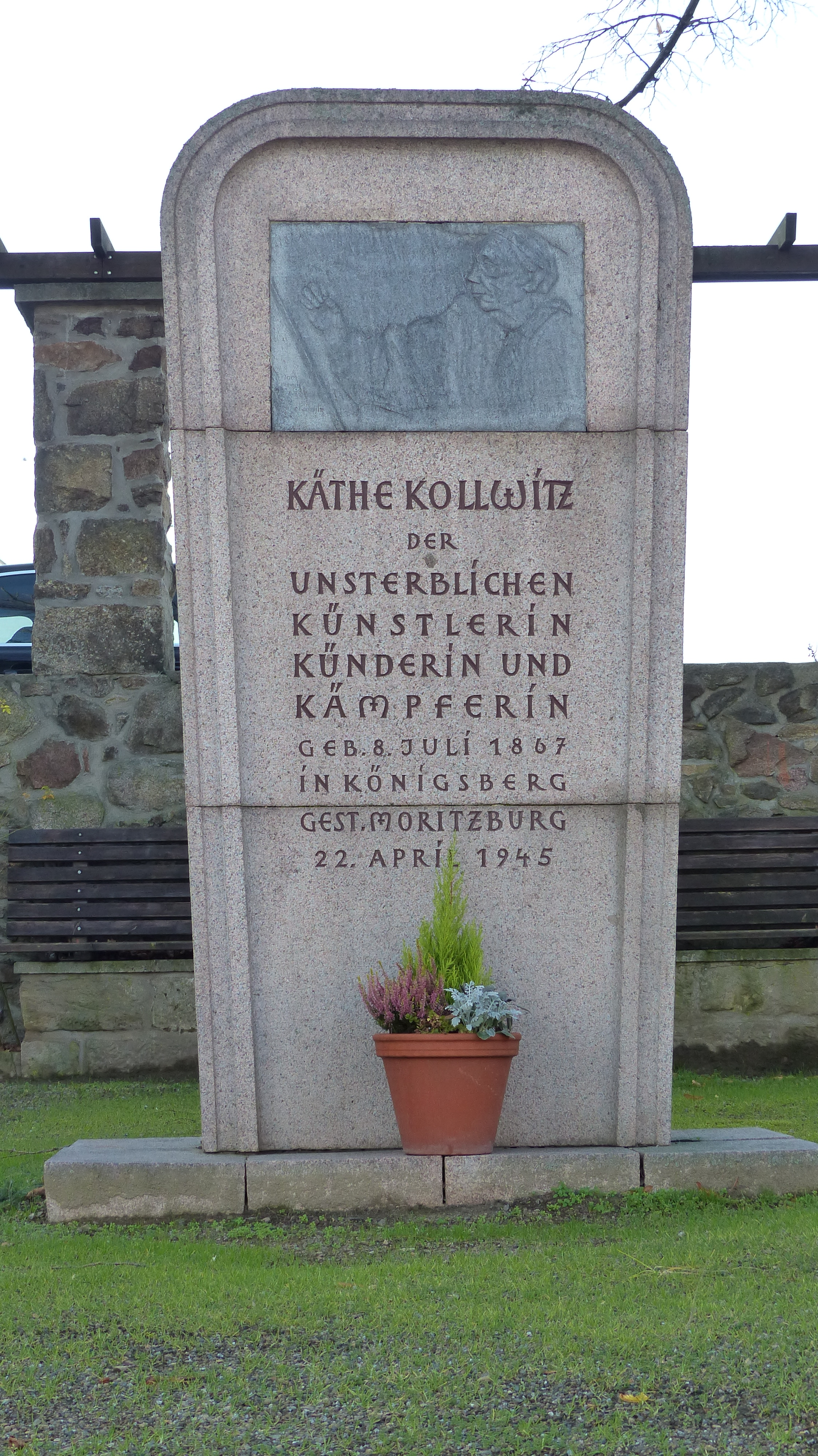Bild Käthe Kollwitz Denkmal Moritzburg