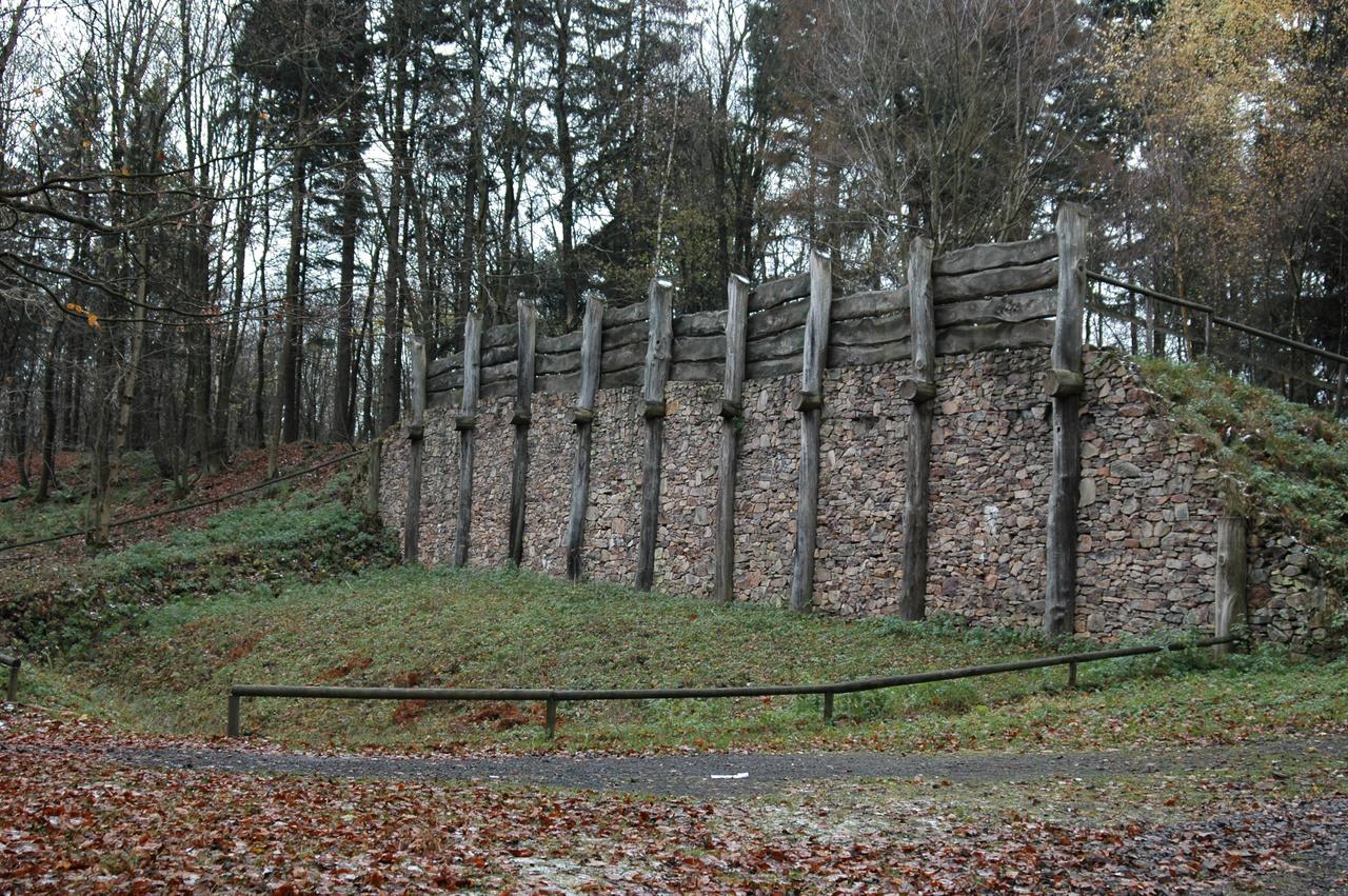 Bild Keltenwall auf dem Donnersberg