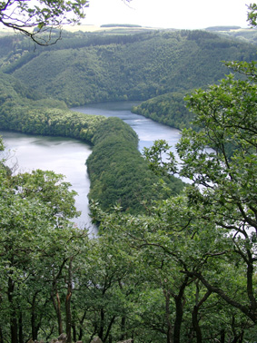 Bild Nationalpark Eifel Simmerath