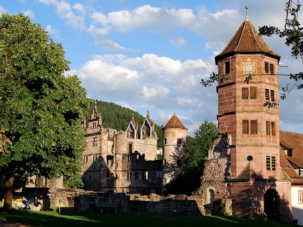 Bild Kloster Hirsau