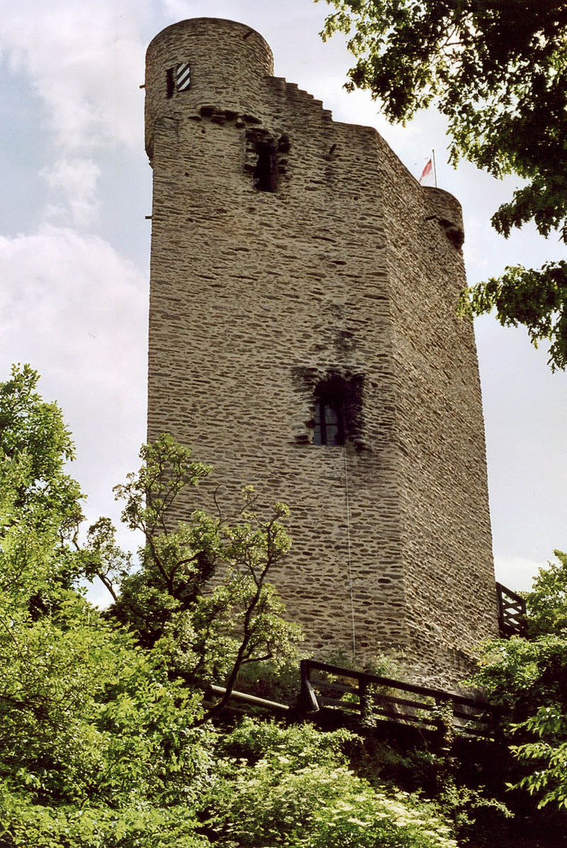 Bild Burg Laurenburg