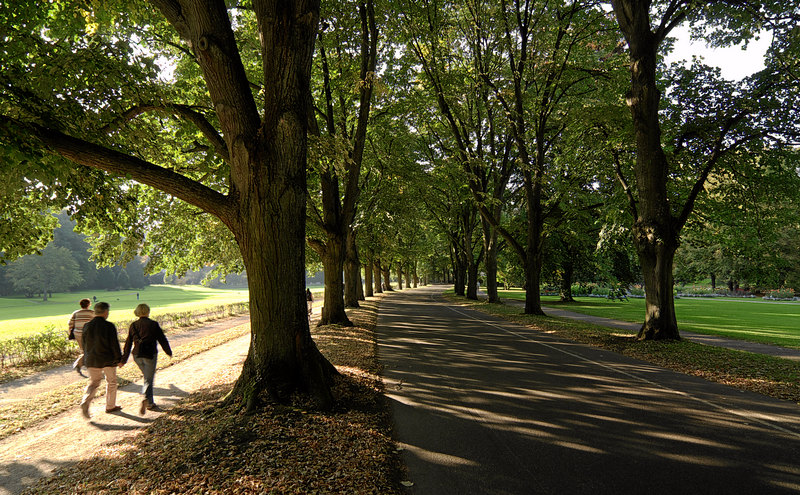 Bild Lichtentaler Allee Baden Baden