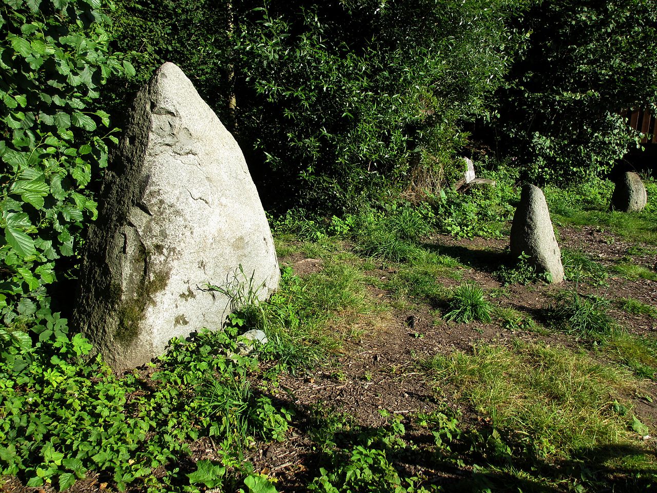 Bild Menhiranlage Hirtenwiese Roßdorf