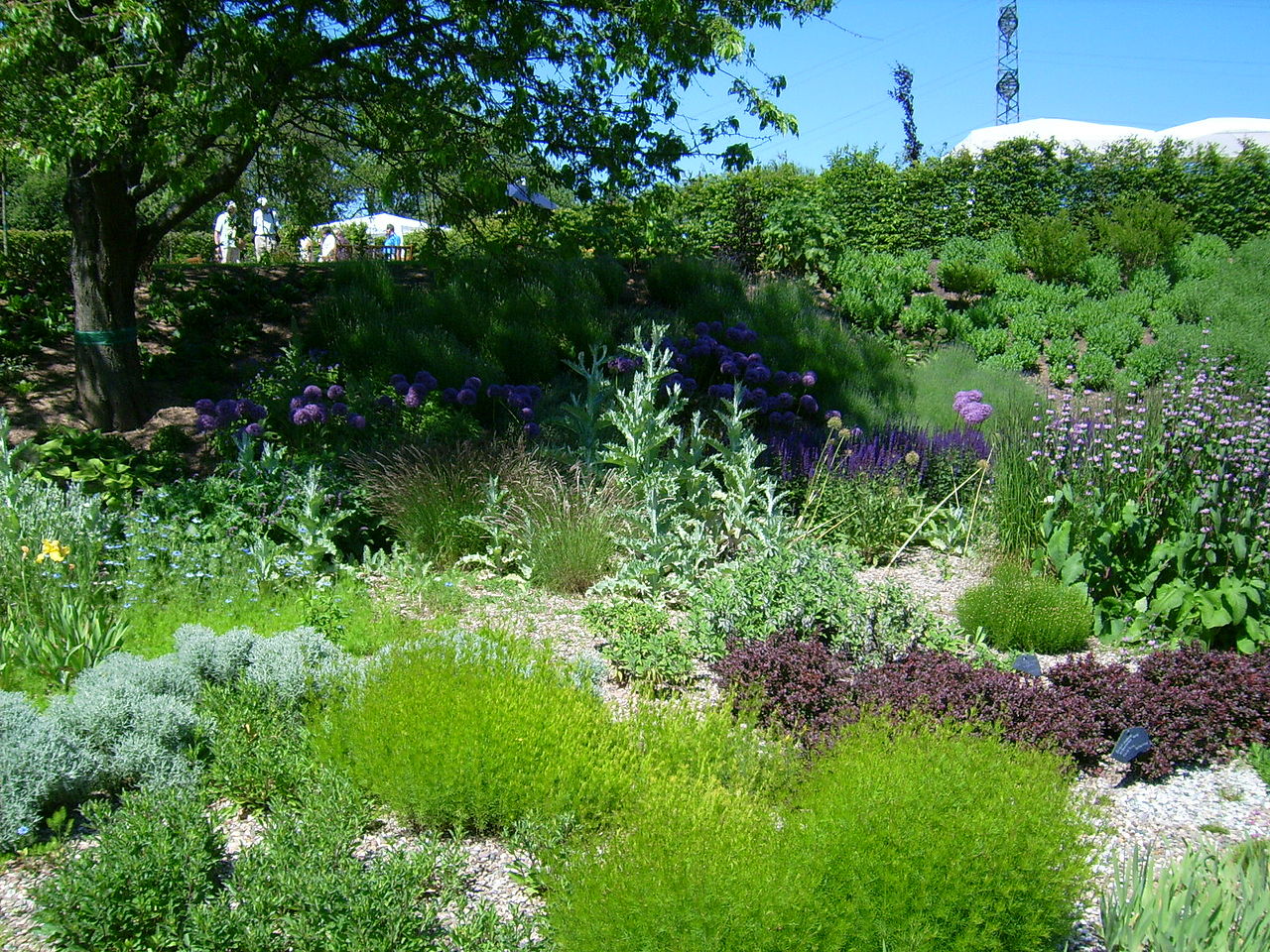 Bild Staudengarten Weiskirchen