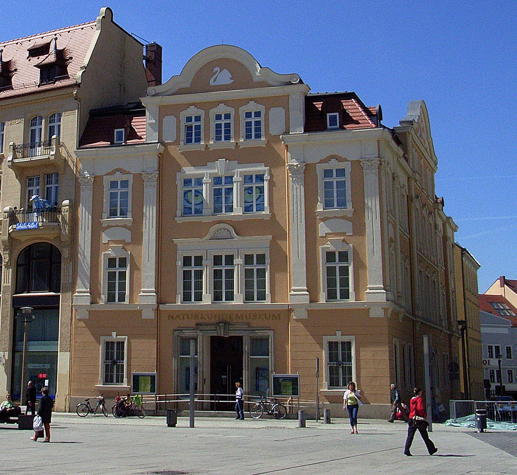 Bild Senckenberg Museum für Naturkunde Görlitz