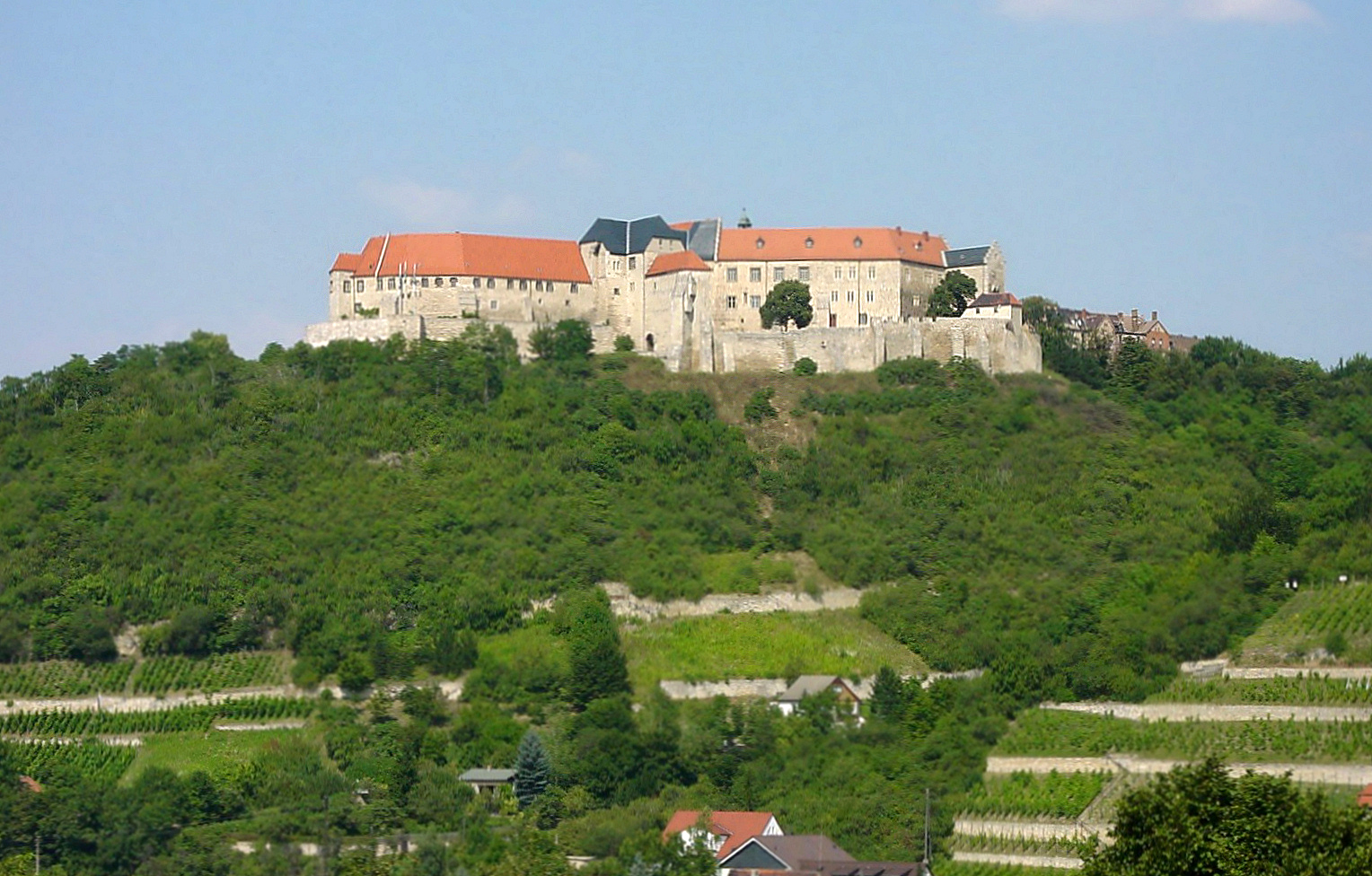 Bild Schloss Neuenburg Freyburg