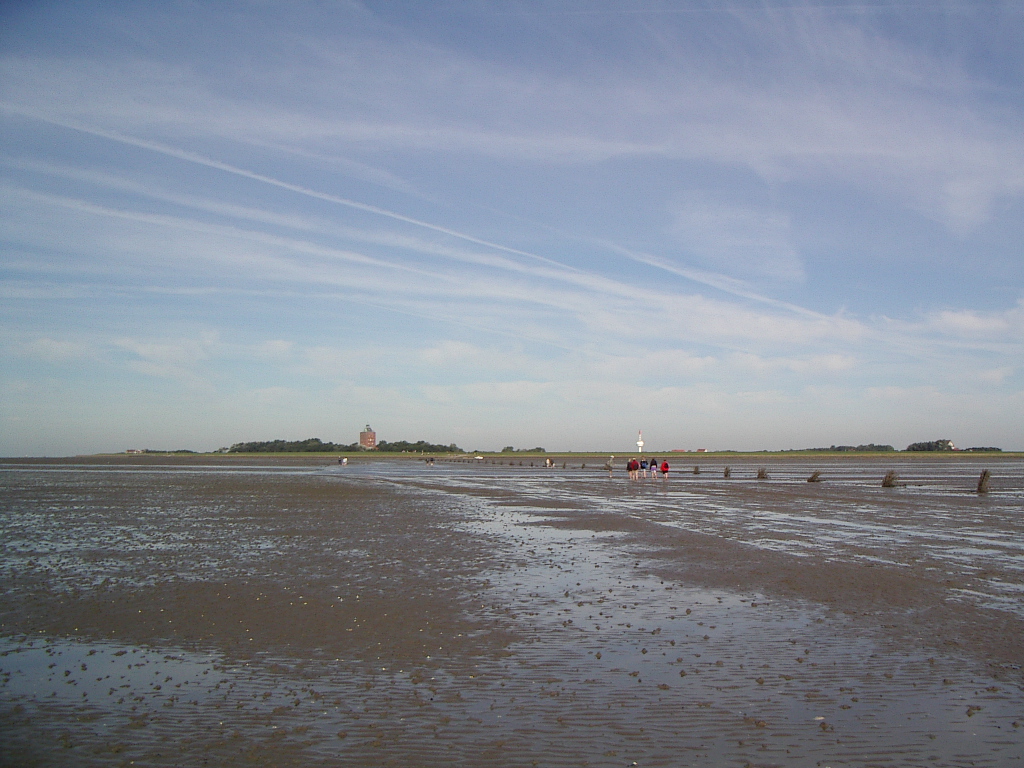 Bild Nationalpark Hamburgisches Wattenmeer