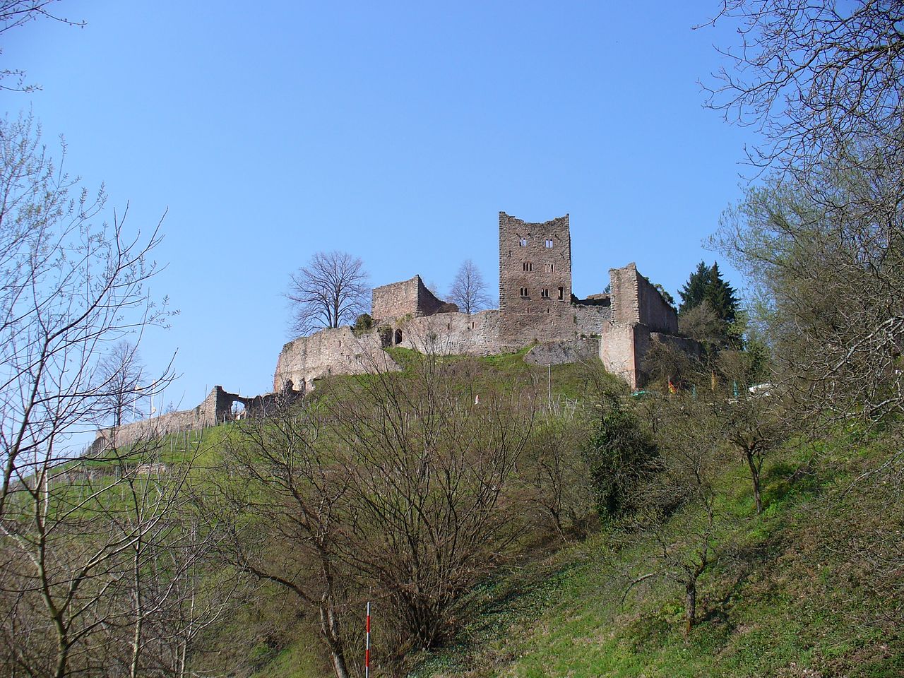 Bild Ruine Schauenburg Oberkirch