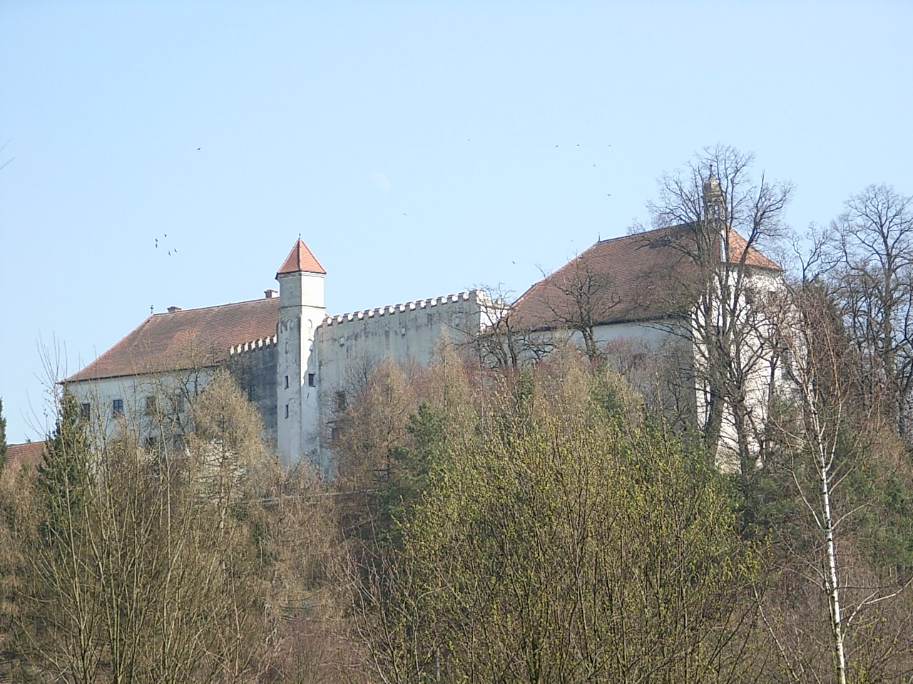 Bild Schloss Ortenburg Fürstenzell