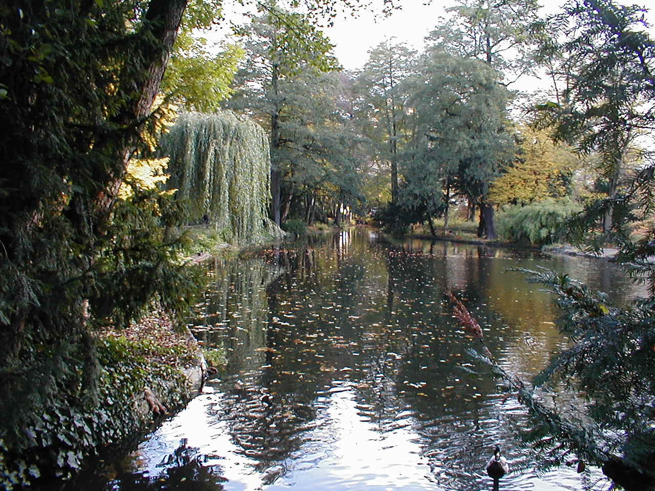 Bild Park Schöntal Aschaffenburg