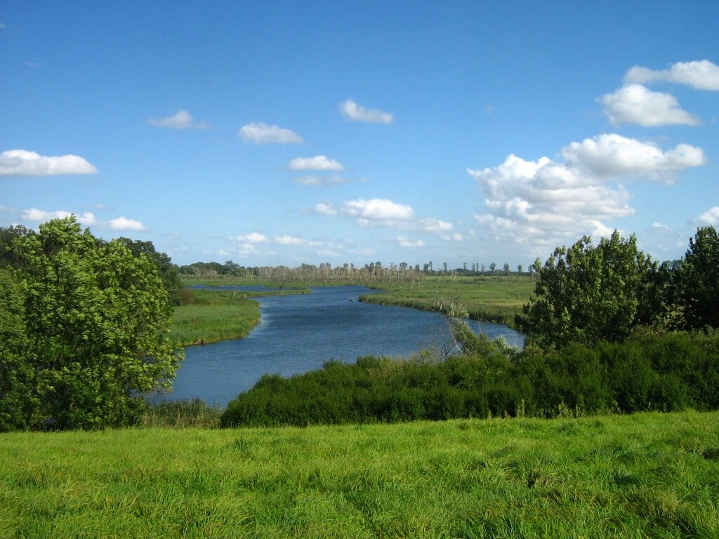 Bild Naturpark Flusslandschaft Peenetal