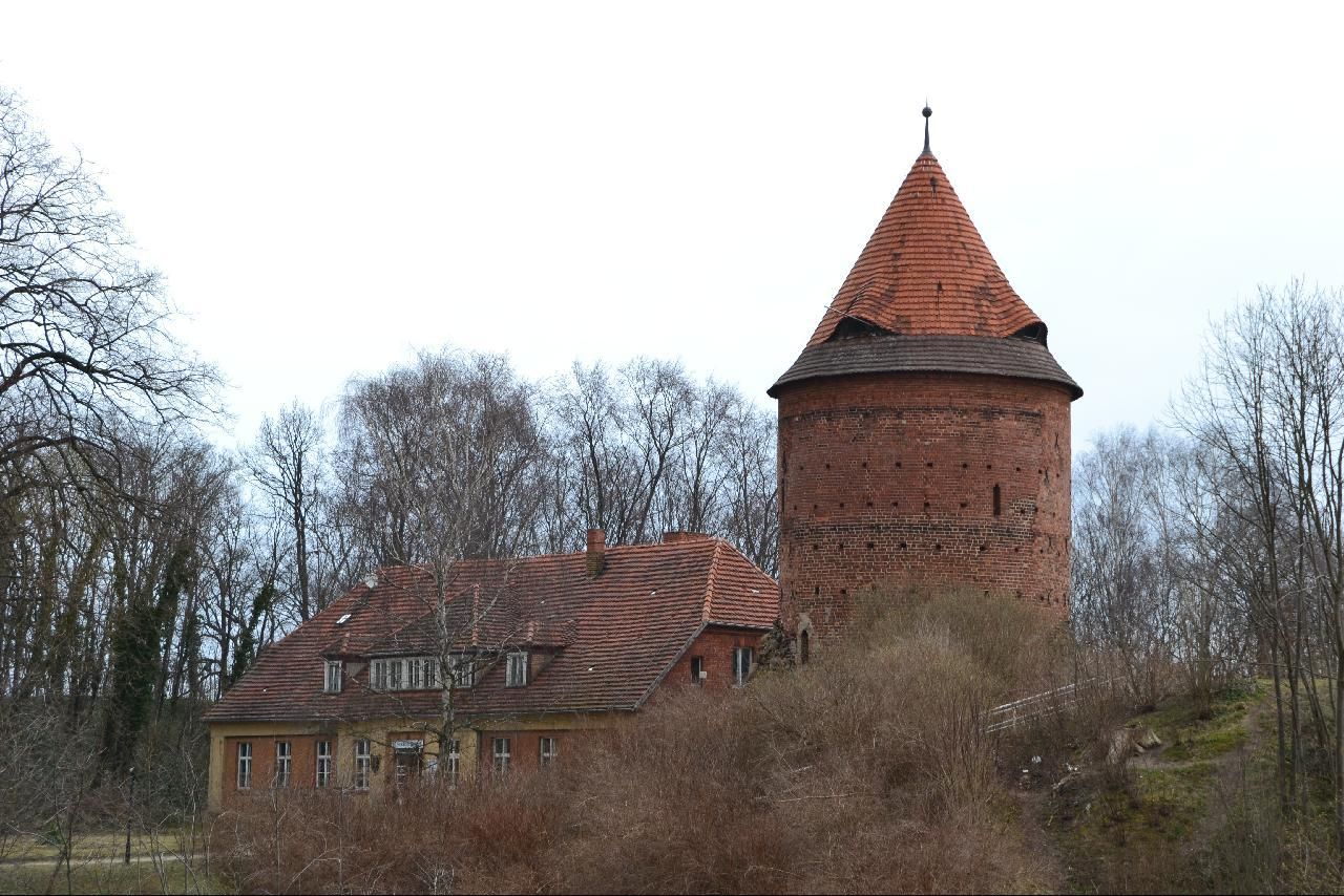 Bild Plauer Burg