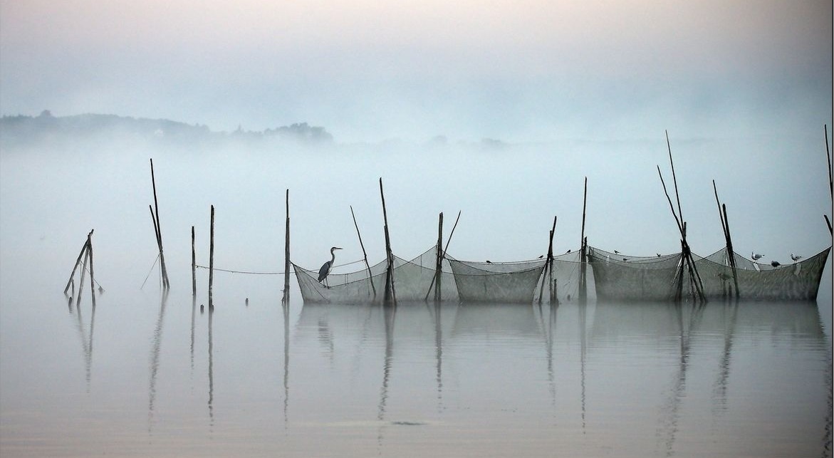 Bild Fischereiausstellung Plaue Havel